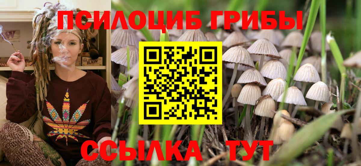 Каменка  Галлюциногенные грибы мухоморы  Галлюциногенные грибы Psilocybine cubensis  Вход с VPN 
